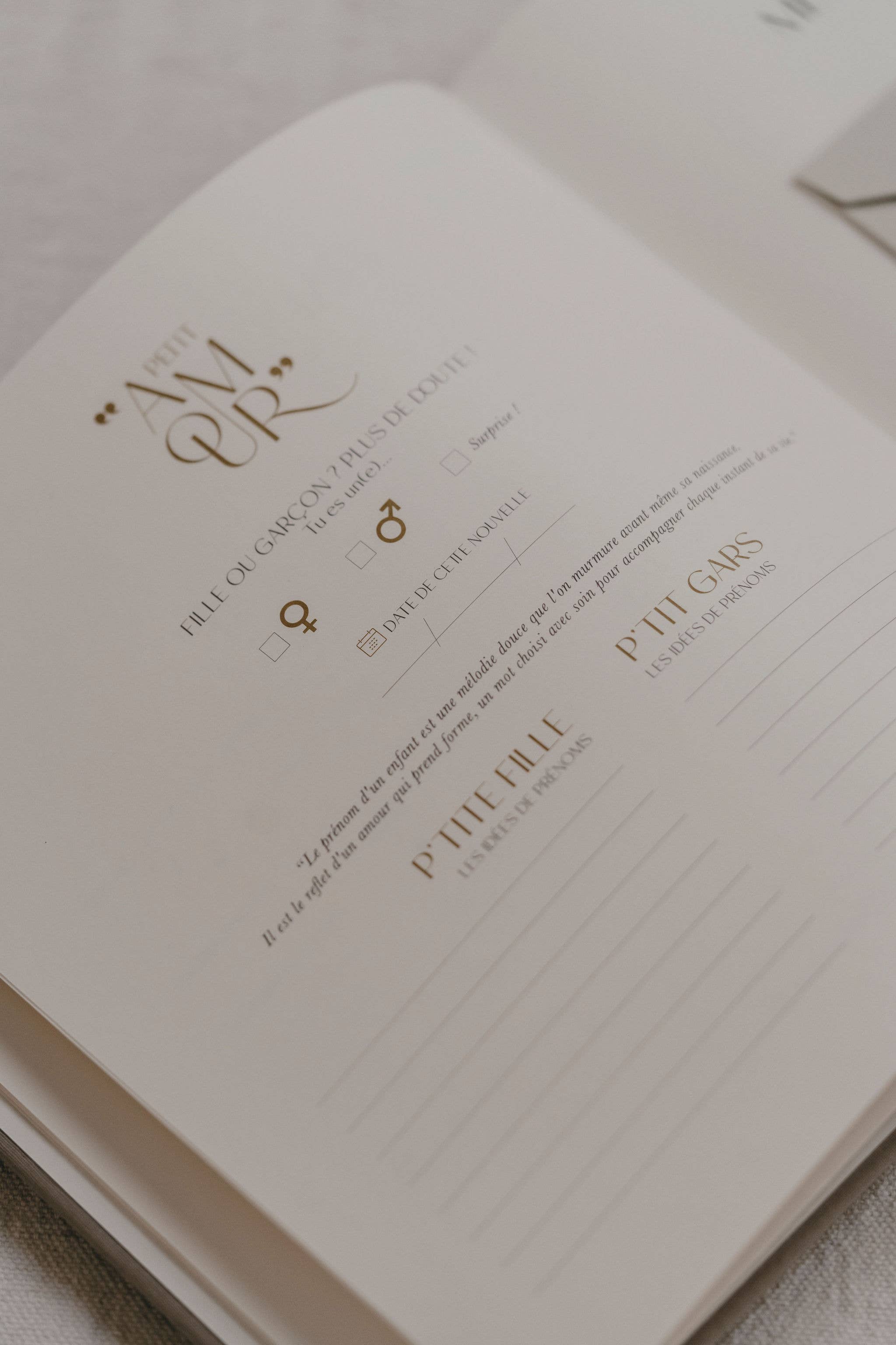 Livre de naissance - Petit Amour Sauge
